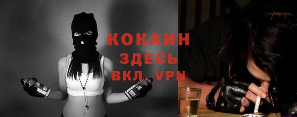 Альфа ПВП Бородино