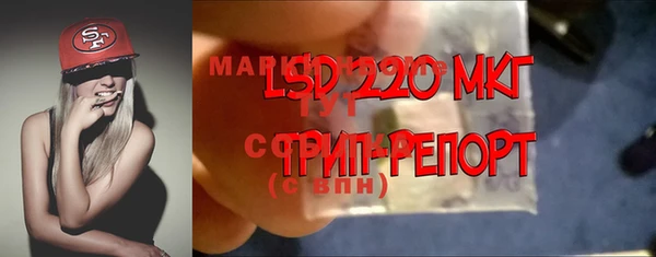 гашик Бронницы