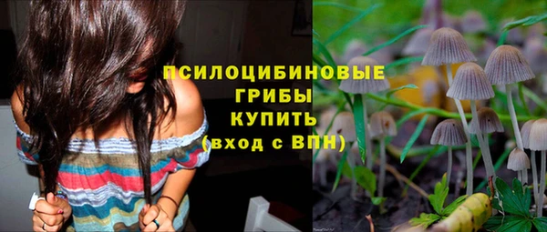 гашик Бронницы