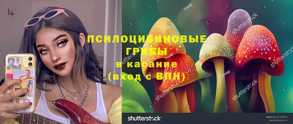 гашик Бронницы