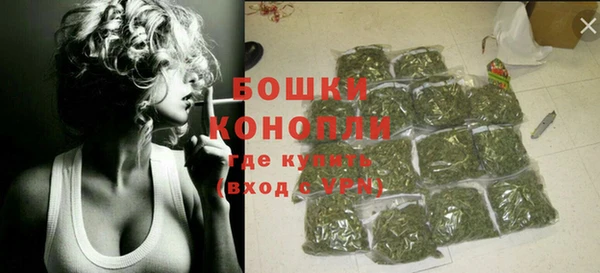 Альфа ПВП Бородино