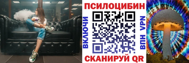 Псилоцибиновые грибы прущие грибы  Городец 
