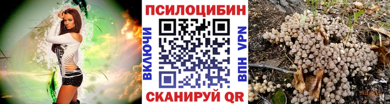 Галлюциногенные грибы ЛСД Городец